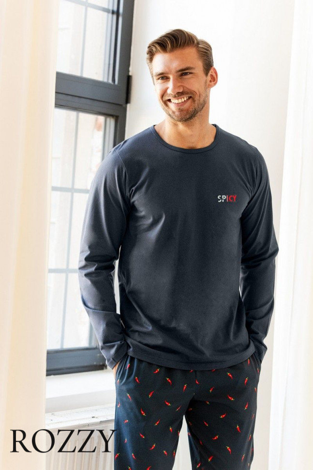 Пижама мужская Taro Eric 3312/3313 графитовый