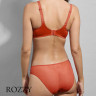 Трусы слипы Empreinte Paola 03226 терракотовый