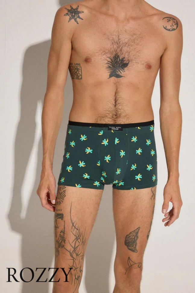 Набор трусы шорты мужские + носки Ysabel Mora 20384 темно-зеленый