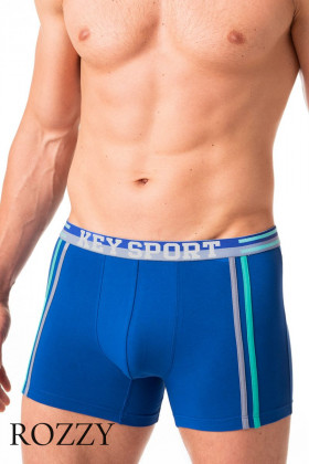 Трусы шорты мужские Key MXH 241 светло-синий