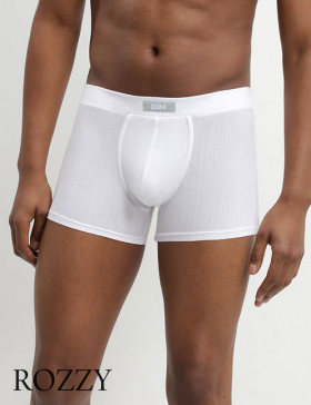 Трусы шорты мужские DIM 6585 белый 