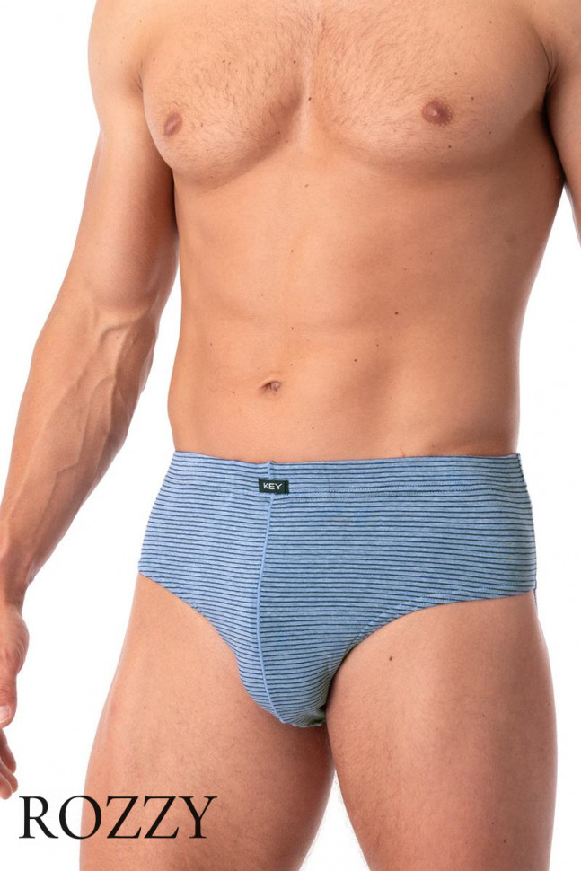 Трусы слипы мужские Key MPP 073 серый/серо-голубой (уп.2шт.)