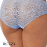 Трусы хипстеры DKNY Modern Lace DK5014 голубой