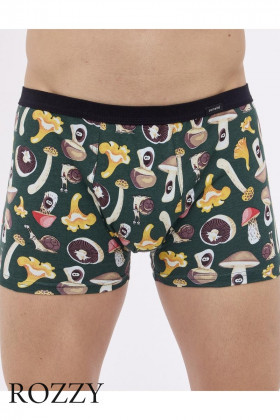 Трусы шорты мужские Cornette 280-7 темно-зеленый/коричневый