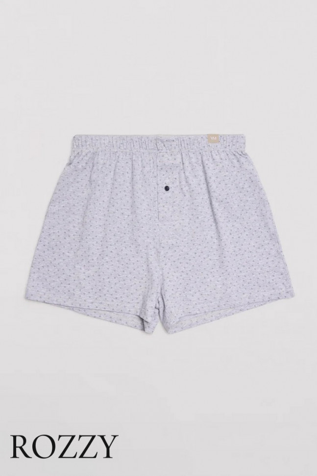 Трусы боксеры мужские Ysabel Mora 20373 светло-серый